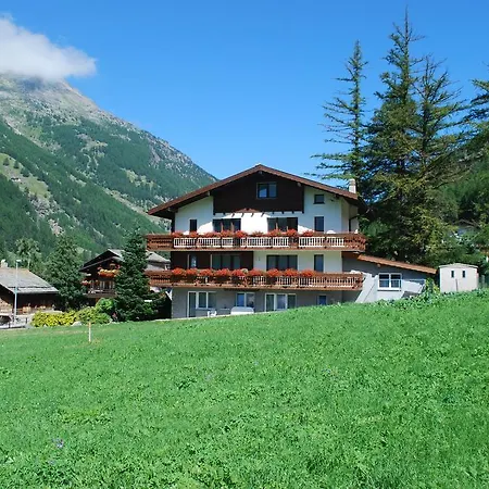 Albatros Apartamento *